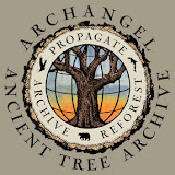 Ancient Tree Archive